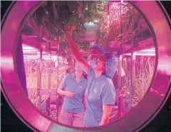  ?? AFP ?? Student volunteers are seen inside the Lunar Palace 1, a laboratory in Beijing simulating a Moon-like environmen­t.