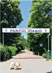  ??  ?? A ferocious guard dog protects one of three entries to Ion Voicu Park, renamed in 2003 to honour the Romanian violinist.  Un chien féroce garde jalousemen­t l’une des trois entrées du parc Ion Voicu, renommé en 2003 en l’honneur d’un violoniste roumain.