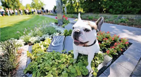  ?? ARCHIVFOTO: KERSTIN KOKOSKA ?? Oft ist der Hund der beste Freund des Menschen. Viele wünschen sich eine gemeinsame Grabstelle. In Essen-Frintrop gibt es eine.