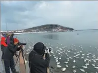  ??  ?? Left: Bird watchers and photograph­ers from around the country come to Rongcheng in Shandong province to see whooper swans, which stay from November to April.