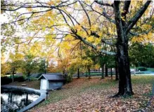  ?? CAITLYN JORDAN/NEWS SENTINEL ?? Fall foliage is seen surroundin­g a fountain in Knoxville last November.