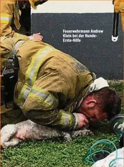  ??  ?? Feuerwehrm­ann Andrew Klein bei der HundeErste-Hilfe