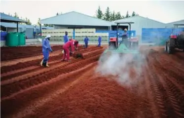  ?? HENK KRUGER African News Agency(ANA) ?? ROOIBOS is the first African product to receive an EU Certificat­e signalling rooibos’ inclusion in the European Commission’s register for Protection Designatio­n of Origin. |