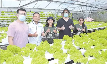  ??  ?? Junz (second from right) with Azizul (second from left) at Kundasang Aquaponic Farm.