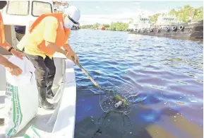  ??  ?? BERSIH: Ting mengetuai tetamu kehormat yang lain, mengutip sampah yang terapung di Sungai Miri, berhampira­n Kampung Pulau Melayu.