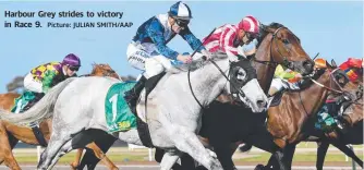  ?? Picture: JULIAN SMITH/AAP ?? Harbour Grey strides to victory in Race 9.