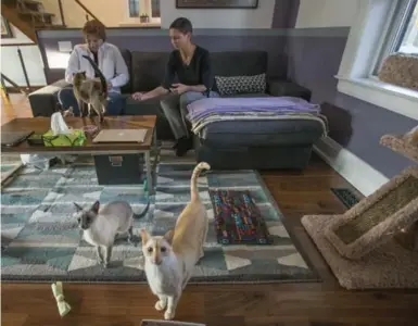  ?? RICK MADONIK/TORONTO STAR ?? NOW Barb Piatkowski, left, and Maxine Feathersto­nhaugh, along with their feline family, enjoy their renovated living room that is now redesigned as an open-concept space and invites natural light to flow through.