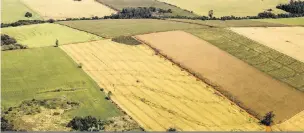  ?? Sergio Ranalli/13-07-2015 ?? Área agricultáv­el no País ganhou 16,5 milhões de hectares, quase o tamanho do Estado do Acre