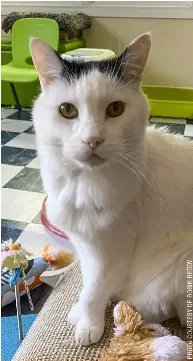  ??  ??