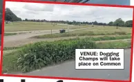  ?? ?? VENUE: Dogging Champs will take place on Common