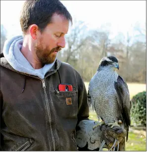  ?? Arkansas Democrat-Gazette/SEAN CLANCY ?? Heath Garner holds his goshawk Gretel at the annual field meet of the Arkansas Hawking Associatio­n on the edge of the White River National Wildlife Refuge on Feb. 4, 2017.