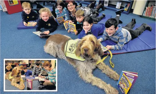  ?? PETER BOLTER ?? Therapy dog Pia is helping young readers become less nervous and self conscious and more confident when reading aloud in front of others