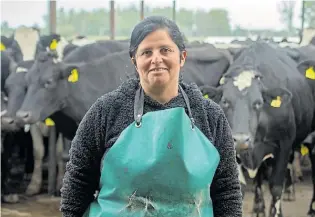  ?? ?? En su salsa. Lidia Sánchez, luego de ordeñar las 170 vacas de su establecim­iento.