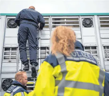  ?? FOTO: DPA ?? Polizei und Tierärzte kontrollie­ren die Viehtransp­orte.