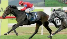  ?? PHOTO: TRISH DUNELL ?? Miss Wilson grabs Gr1 glory at Te Aroha ahead of Thee Auld Floozie.
