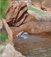  ?? (DR) ?? Sur le rivage d’une crique privée attenant à une villa, le dauphin a été repéré depuis les rochers aux alentours.