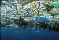  ?? BAY AREA NEWS GROUP FILE PHOTO ?? Just off the coast of California floats the Great Pacific Garbage Patch, a mass of plastic waste the size of Texas.