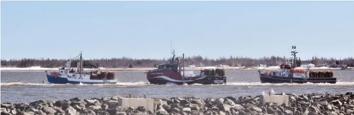  ??  ?? La pêche au crabe des neiges a pris son envol vendredi matin dans le Nord-Est. - Acadie Nouvelle: David Caron