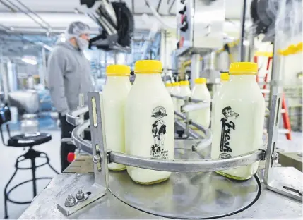  ??  ?? Plant supervisor Jon Benesch looks over a bottling line Friday at the Longmont Dairy Farms bottling and distributi­on facility in Longmont.