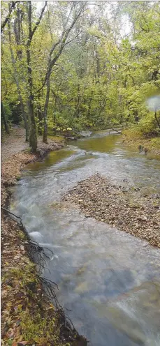  ?? NWA Democrat-Gazette/Flip Putthoff ?? Tanyard Creek Nature Trail offers soul-soothing views of Sunshine Creek. The trail is a microcosm of the Ozarks. Nearly all features people associate with the Ozarks are found at Tanyard Creek, including bluffs, a spring, mountain stream, a waterfall and forest.