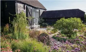  ?? Photograph­s by Rachel Warne ?? The Sussex black barn, above, is a perfect foil to the shimmering planting.