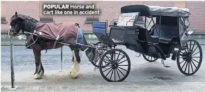  ??  ?? POPULAR Horse and cart like one in accident