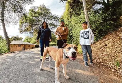  ?? Jennifer Martinez ?? Stephanie Ong, partner Juan Rivera and her 9-year-old son walk their dog, Guapo, in their Oakland neighborho­od.