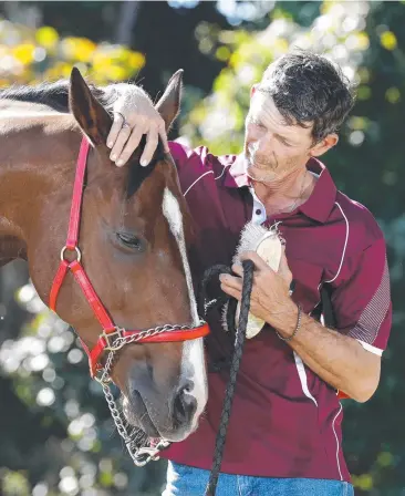  ?? Picture: ANNA ROGERS ?? READY TO RUN: Mega D’oro trainer and part owner Mark Dale, who will be the lone Cairns trainer in the Cleveland Bay Hanidcap at Townsville.