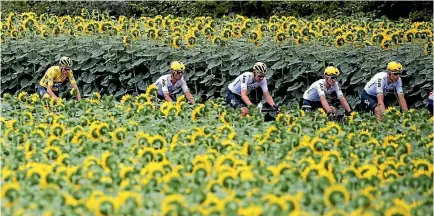  ?? CHRISTIAN HARTMANN / REUTERS ?? The riders had time to enjoy the scenery on a quiet stage 10.