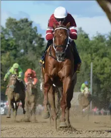  ?? PHOTO PROVIDED ?? Gun Runner competes.