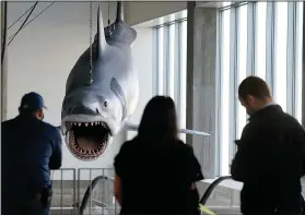  ?? (AP/Chris Pizzello) ?? Museum workers look on Nov. 20 as a fiberglass replica of Bruce, the shark featured in Steven Spielberg’s classic 1975 film “Jaws,” is raised into a suspended position for display.