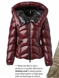  ??  ?? k What we like to call a duvet-in-a-jacket, Moncler’s
Akebia coat in deep purple puts hibernatio­n in high gear with its bold pop of colour. $1,525, holtrenfre­w.com