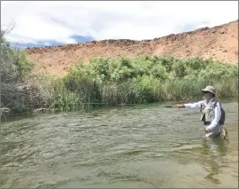  ?? ?? Alyce Saito of Seal Beach use a nymph on her Tenkara rod to fool the wild trout of the lower Owens River.