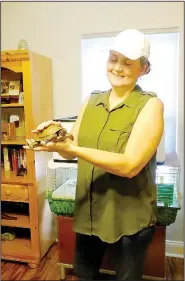  ?? NWA Democrat-Gazette/LYNN ATKINS ?? Joyce Hicks holds a box turtle she is helping to recover from a mower accident.