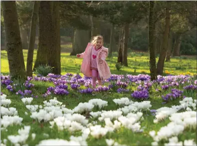  ??  ?? „ Four-year-old Tuva O’neill plays in Queens Park, Glasgow, as the unseasonab­ly warm weather continues.
