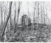  ?? ROBERT BURLEY ?? Robert Burley photograph­s a rock in Mount Royal Park as a sign of a designed environmen­t.