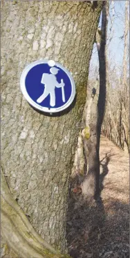  ?? NWA Democrat-Gazette photograph­s by Flip Putthoff ?? Hiking is easy at the preserve along flat levees.