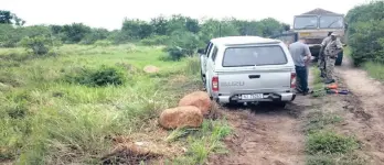  ?? PICTURES: SHAUN SMILLIE ?? A bid to slip this Isuzu double-cab across the border was foiled.