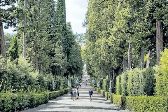  ?? THERESA FORTE/SPECIAL TO THE STANDARD ?? The Viottolone runs the length of Boboli Gardens and is lined with 400-year-old cypresses and antique statuary.