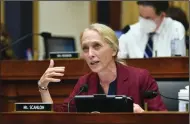 ?? (AP/Mandel Ngan) ?? Rep. Mary Gay Scanlon, D-Pa., speaks during a House Judiciary subcommitt­ee meeting on antitrust on July 29, 2020, in Washington.