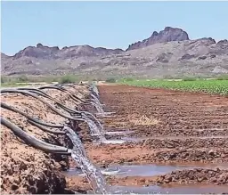  ??  ?? How long should other water users sustain Pinal County farming? That question may be key to Arizona’s role in the Lower Basin Drought Contingenc­y Plan.