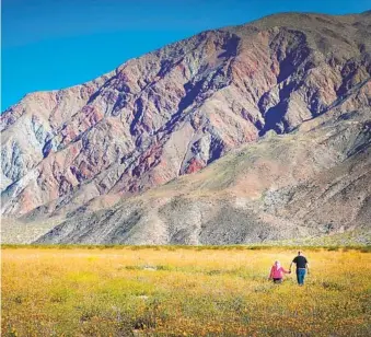  ?? HOWARD LIPIN U-T FILE ?? Visitors to Anza-Borrego Desert State Park walk among a sea of flowers in Henderson Canyon.