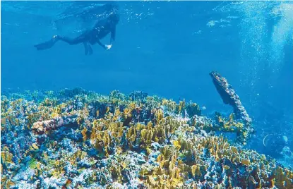  ?? INAH ?? El rescate se llevó a cabo en la Reserva de la Biósfera del Banco Chinchorro, en Quintana Roo.