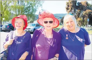  ?? PHOTOS / ROSALIE WILLIS ?? Jennifer Green, Christine Davidson and Liz Konia wearing suffrage brooches from past family members.