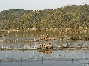  ??  ?? Come April 1, LLDA has announced that they will lead in demolishin­g 30 corporate and individual­ly-owned fish pens that cover around 1,000 hectares of the lake. FILE PHOTO