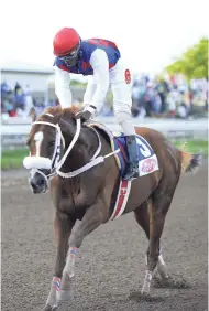  ?? ALLEN/PHOTOGRAPH­ER IAN ?? WILL IN CHARGE, ridden by Robert Halladeen, wins the Cal’s Tomato Ketchup Gold Cup at Caymanas Park on Saturday, October 13.