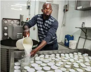  ?? Foto: Giacomo Sini ?? Modibo bei der Joghurther­stellung: Das Milchprodu­kt ist ein Verkaufssc­hlager
