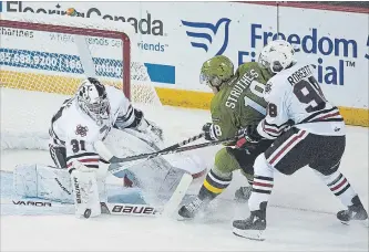  ?? BOB TYMCZYSZYN THE ST. CATHARINES STANDARD ?? Colton Incze (31), shown defending the Niagara net against North Bay, this week was traded to Windsor where he will get the chance to be the starting goaltender.