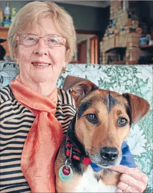  ?? Photo: KATASHA McCULLOUGH ?? Jean Silver with rescue dog Ellie ‘‘the dog with loving heart’’.