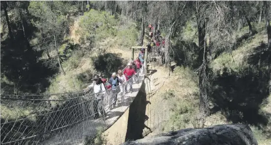  ??  ?? Nicht ohne: Die Hängebrück­e über den barranco verlangt Wanderern etwas Mut ab, ist aber sicher.